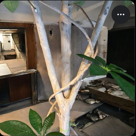 光触媒　人工観葉植物　ウォールグリーン　フェイクグリーン　パキラ12065