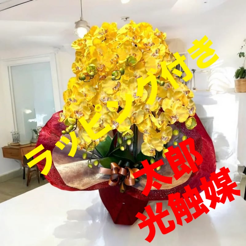 CATEGORY 光触媒 人工観葉植物 | 太郎's STORE