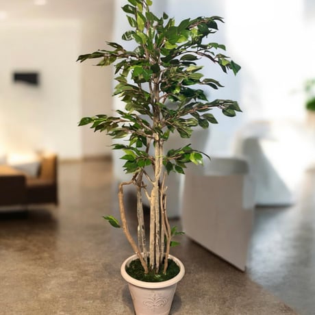 光触媒　人工観葉植物　ウォールグリーン　フェイクグリーン　ベンジャミン13058