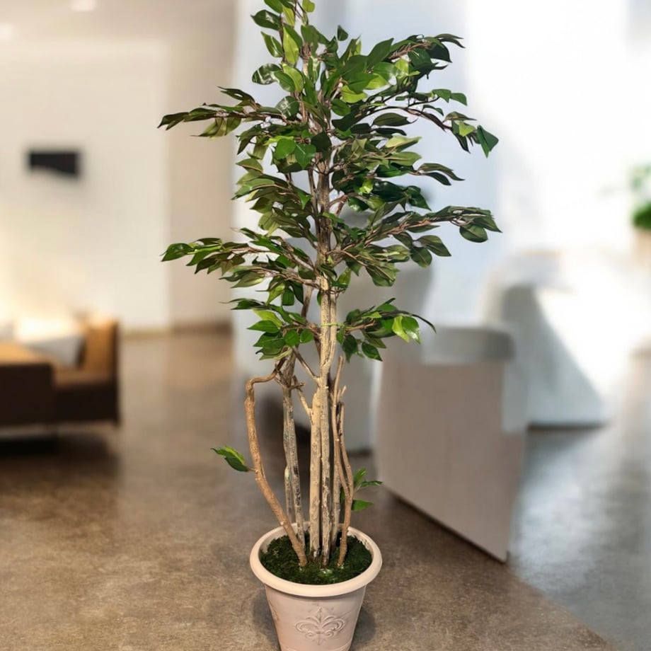 6901c648e70d9710d0df004d