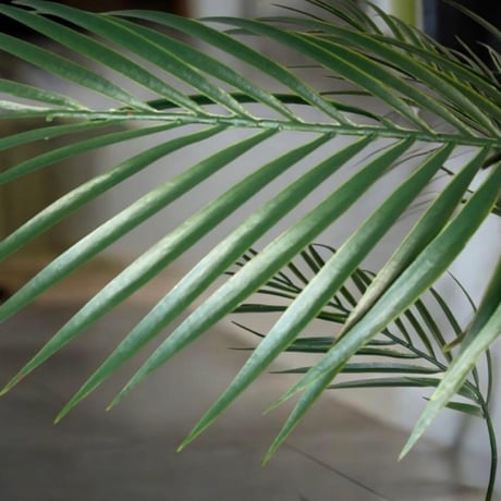 光触媒　人工観葉植物　ウォールグリーン　フェイクグリーン　アレカヤシ14790