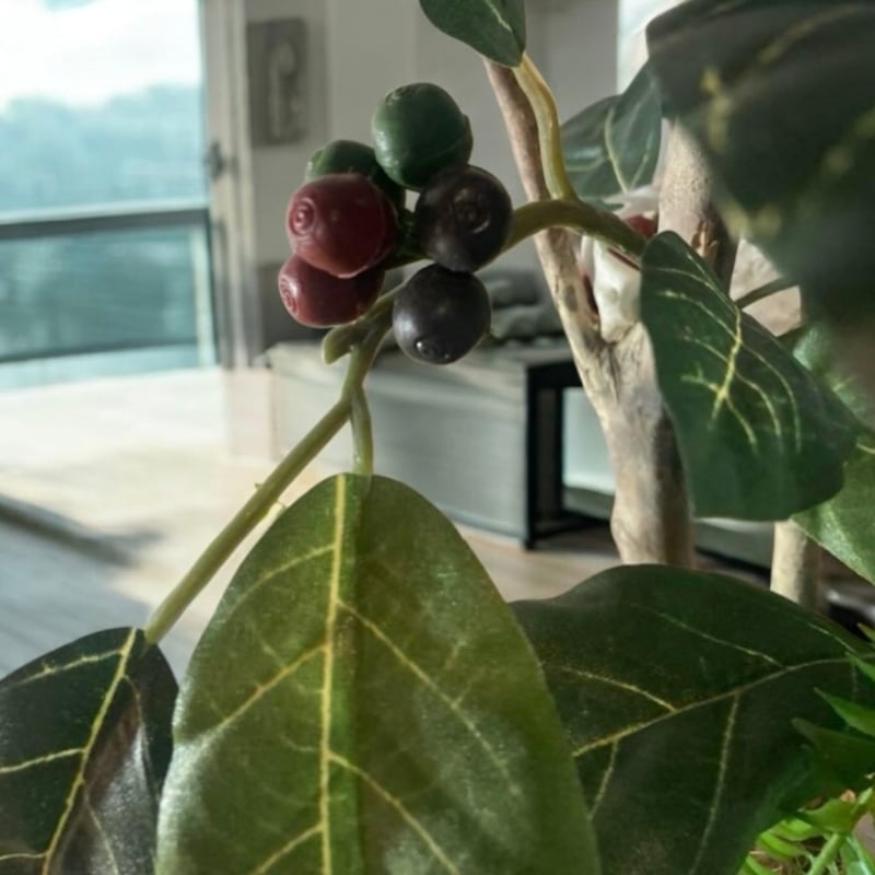 光触媒 人工観葉植物 ウォールグリーン フェイクグリーン コーヒーの木