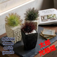 光触媒　人工観葉植物　ウォールグリーン　アザミサボテンスイングイエロー 22cm