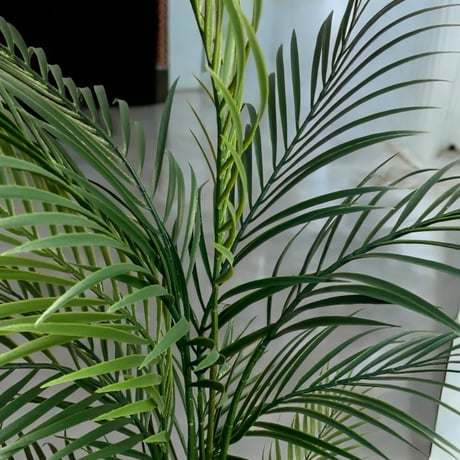 光触媒　人工観葉植物　ウォールグリーン　フェイクグリーン　花器付アレカヤシ147