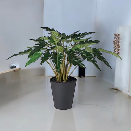 光触媒　人工観葉植物　ウォールグリーン　フェイクグリーン　クッカバラh50