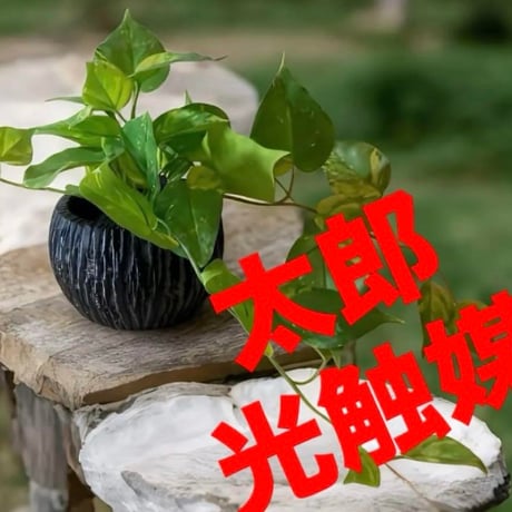 光触媒　人工観葉植物　ウォールグリーン　フェイクグリーン　ライムポトス花器付