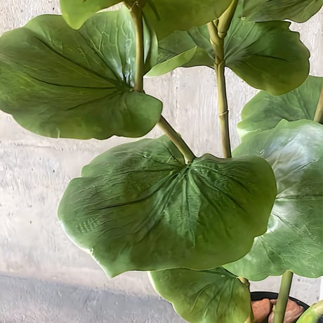 光触媒　人工観葉植物　ウォールグリーン　フェイクグリーン　シーグレープ120