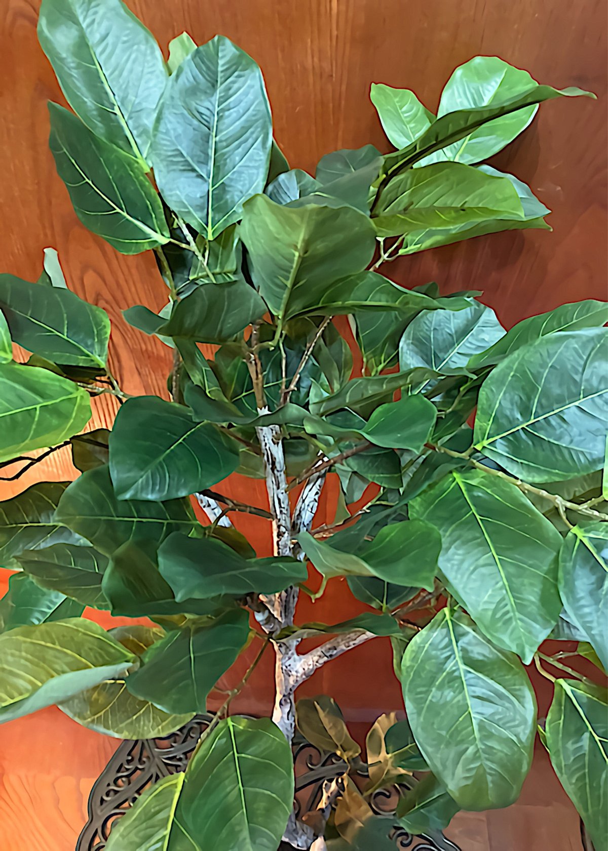 光触媒 人工観葉植物 ウォールグリーン フェイク フラワー バンヤン