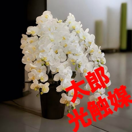 光触媒　人工観葉植物　フェイクグリーン　フレッシュロング胡蝶蘭7本立w