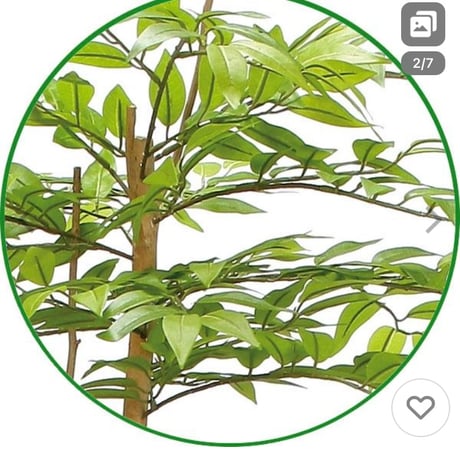 光触媒　人工観葉植物　ウォールグリーン　フェイクグリーン　ソヨゴ1.6m
