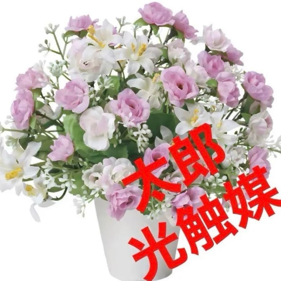 677bb58eeb6dbe0510c758d3