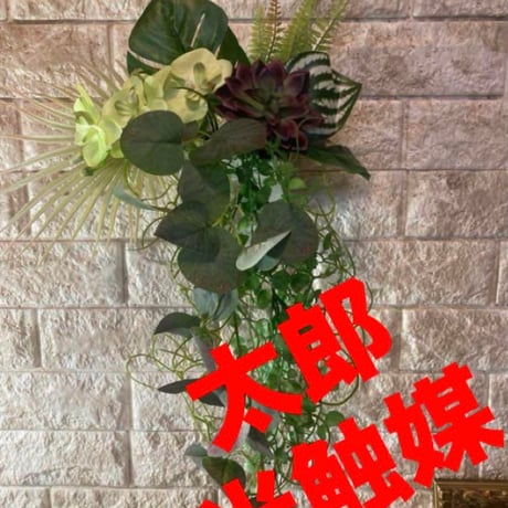 STORES 園芸の検索結果