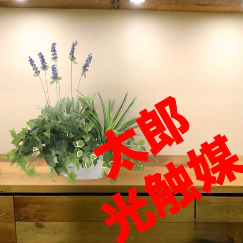 光触媒　人工観葉植物　ウォールグリーン　フェイクグリーン　エミリーツートンローズ 光触媒 人工観葉植物 ウォールグリーン フェイクグリーン エミリー