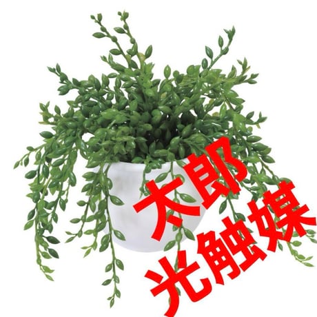 光触媒　人工観葉植物　ウォールグリーン　フェイクグリーン　グリーンネックレス