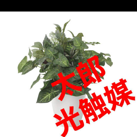 光触媒　人工観葉植物　ウォールグリーン　フェイクグリーン　ミックスカラジューム