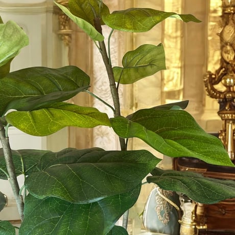 光触媒　人工観葉植物　ウォールグリーン　フェイクグリーン　クネクネウンベラータ3