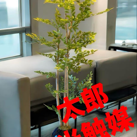 光触媒　人工観葉植物　ウォールグリーン　フェイクグリーン　ゴールデンリーフ601