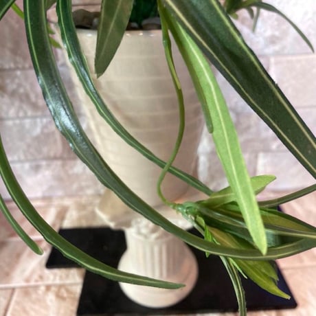 光触媒　人工観葉植物　ウォールグリーン　フェイクグリーン　オリヅルランg