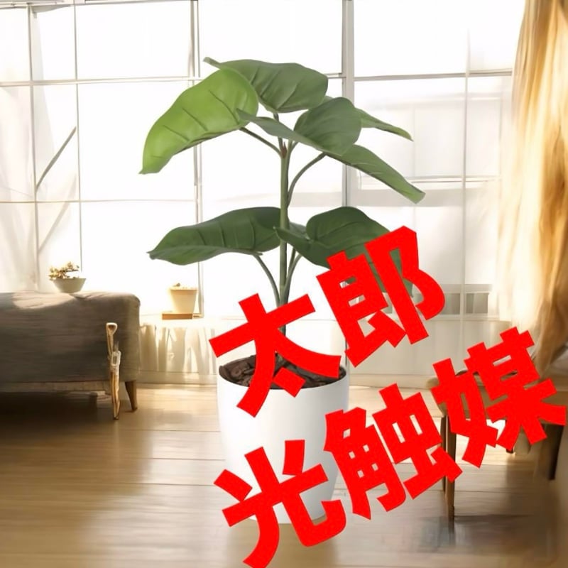 光触媒　人工観葉植物　フェイクグリーン　フレッシュウンベラータ60 光触媒人工観葉植物フェイクグリーンフレッシュウンベラータ60