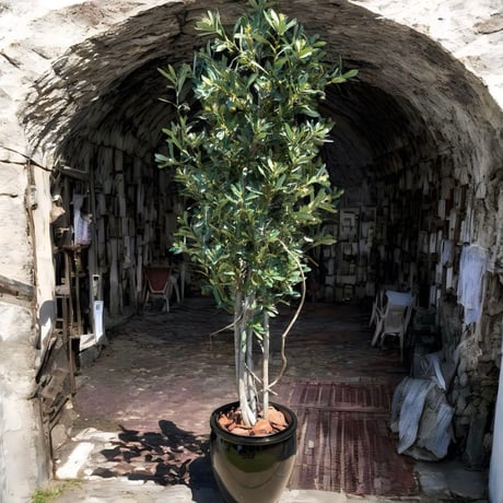 光触媒　人工観葉植物　ウォールグリーン　フェイクグリーン　オリーブtja