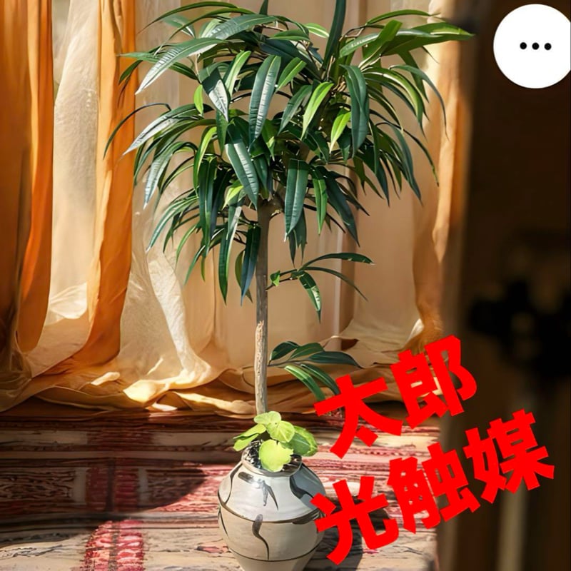 光触媒　人工観葉植物　ウォールグリーン　フェイク　アレンジ　オールドローズ正月花 光触媒 人工観葉植物 ウォールグリーン フェイク アレンジ