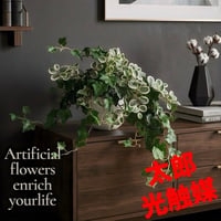 光触媒　人工観葉植物　ウォールグリーンフェイクグリーン　アイビーとプミラ2250
