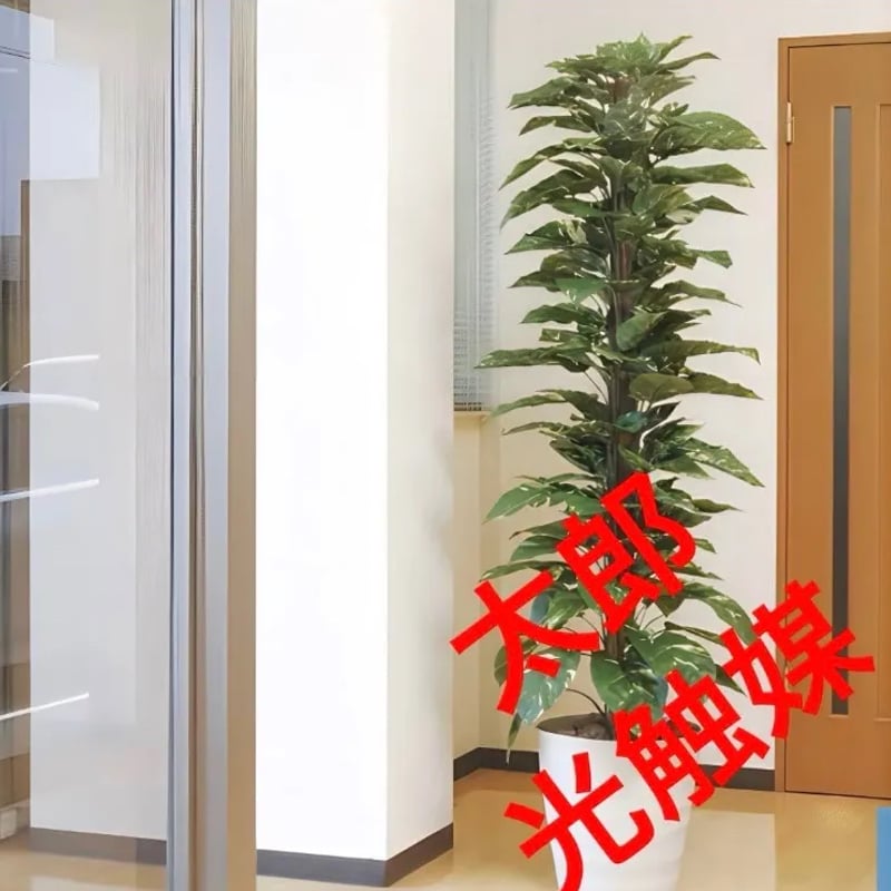 光触媒　人工観葉植物　ウォールグリーン　フェイクグリーン　マグノリアアレンジaj 光触媒 人工観葉植物 ウォールグリーン フェイク フラワー