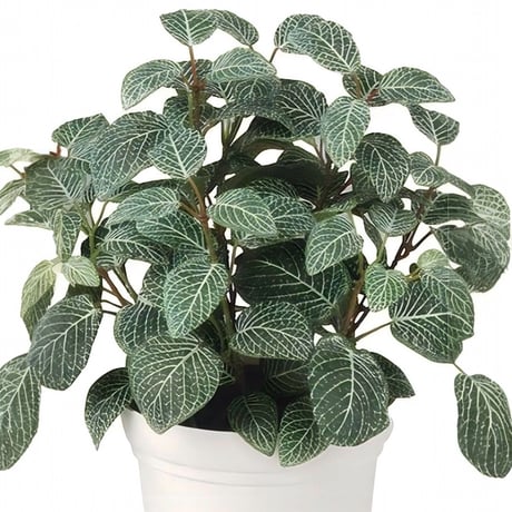 光触媒　人工観葉植物　ウォールグリーン　フェイクグリーン　フィットニア3540