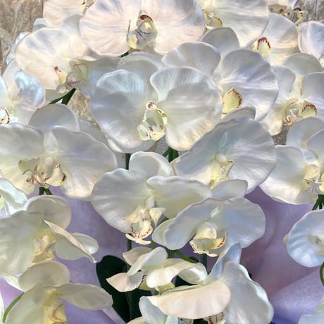 光触媒　人工観葉植物　ウォールグリーン　フェイクグリーン　胡蝶蘭8650