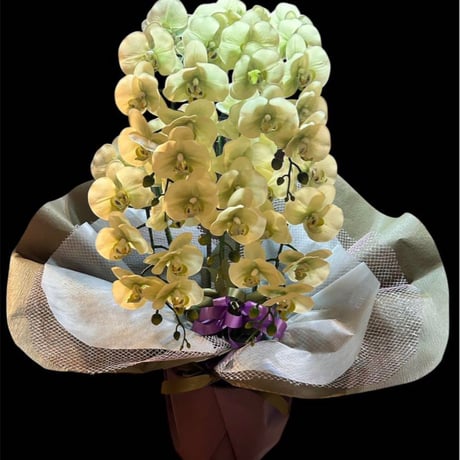 光触媒　人工観葉植物　ウォールグリーン　フェイクグリーン　リアル胡蝶蘭8755
