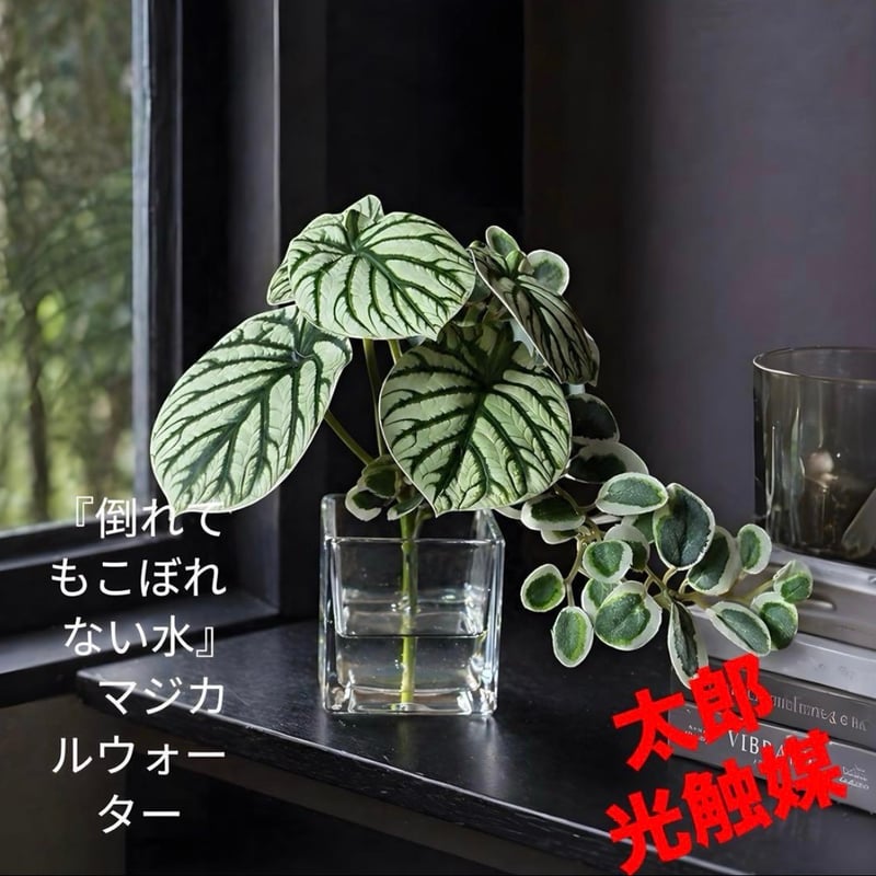 太郎's STORE