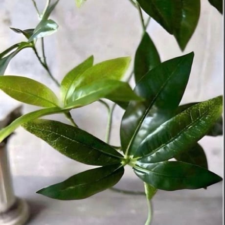 光触媒　人工観葉植物　ウォールグリーン　フェイクグリーン　ニューパキラ花器付き