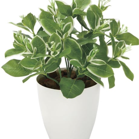 光触媒　人工観葉植物　ウォールグリーン　フェイクグリーン　ピトスポラム
