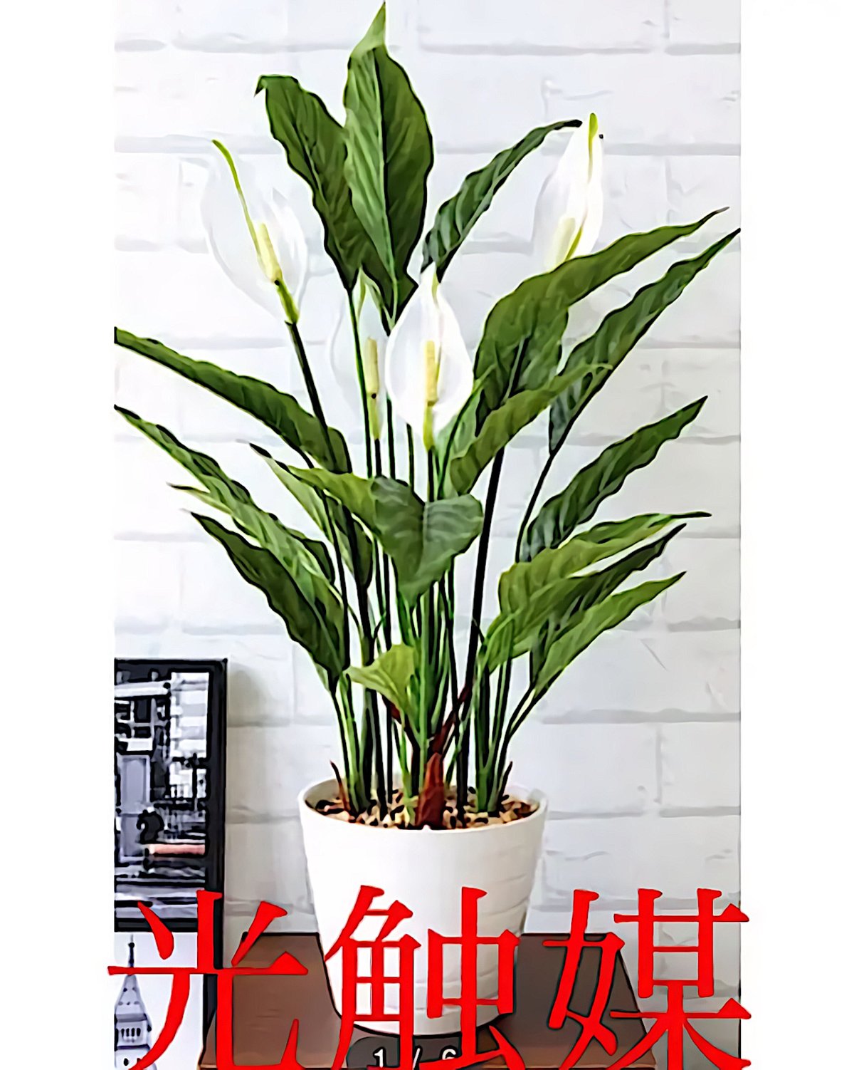 光触媒　人工観葉植物　ウォールグリーン　フェイクグリーン　スパティフィラムＰＥ 光触媒 人工観葉植物 ウォールグリーン フェイク フラワー