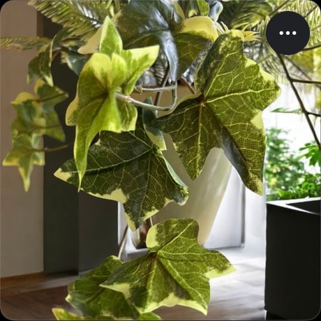 光触媒　人工観葉植物　ウォールグリーン　フェイクグリーン　ポーランドアイビーＡＬ