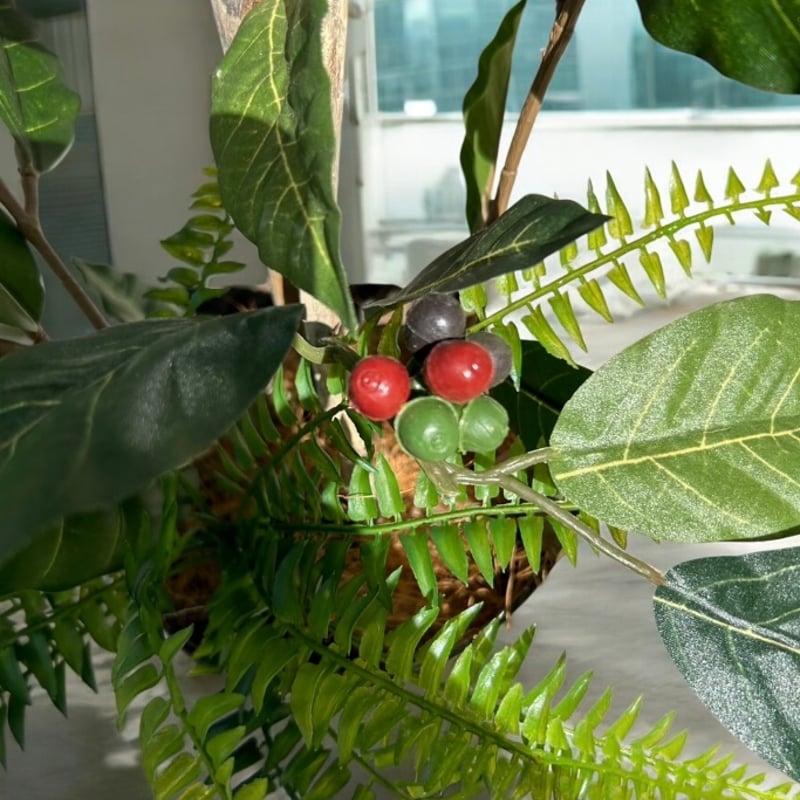 光触媒 人工観葉植物 ウォールグリーン フェイクグリーン コーヒーの木