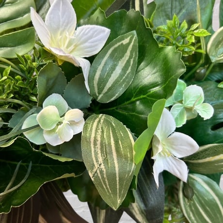 光触媒　人工観葉植物　ウォールグリーン　フェイクグリーン　壁掛け203080