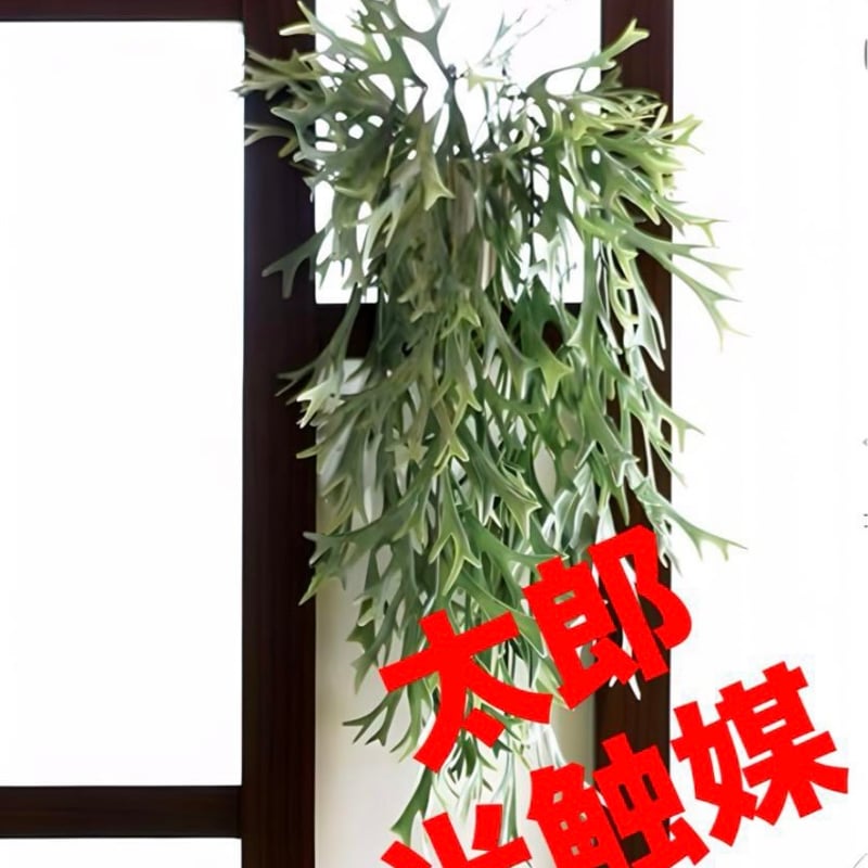光触媒 人工観葉植物 ウォールグリーン フェイクグリーン 壁掛け 