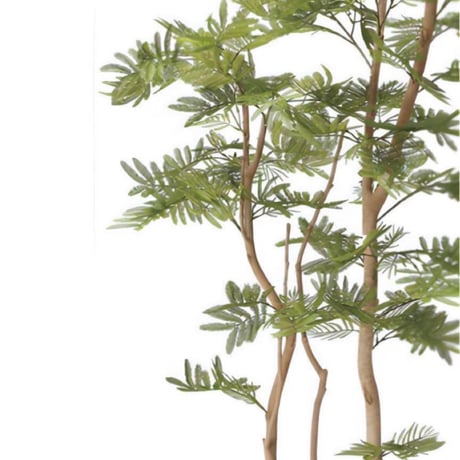 光触媒　人工観葉植物　ウォールグリーン　フェイクグリーン　ねむの木1.8