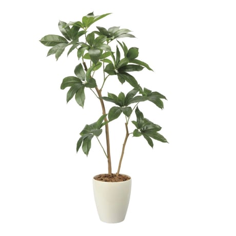 光触媒　人工観葉植物　ウォールグリーン　フェイクグリーン　ツピタンサス1.2