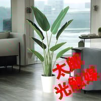 光触媒　人工観葉植物　ウォールグリーン　フェイクグリーン　アイビーポトス110 光触媒 人工観葉植物 ウォールグリーン フェイクグリーン