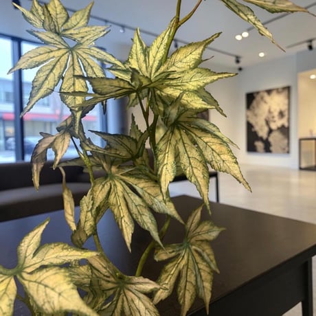 光触媒　人工観葉植物　ウォールグリーン　フェイクグリーン　ケナフスプレー下枝付き