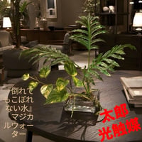 光触媒　人工観葉植物　ウォールグリーン　フェイクグリーン　マジカルウォーター6352