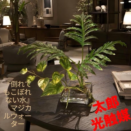 光触媒　人工観葉植物　ウォールグリーン　フェイクグリーン　マジカルウォーター6352