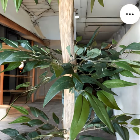 光触媒　人工観葉植物　ウォールグリーン　フェイクグリーン　イタリアンベンジャミン13055