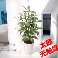 光触媒　人工観葉植物　フェイクグリーン　ディフェンバキア1.1m