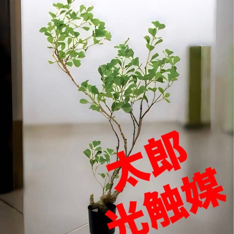 光触媒　人工観葉植物　ウォールグリーン　フェイクグリーン　ブルースターローズ 光触媒 人工観葉植物 ウォールグリーン フェイクグリーン ファーストブルー