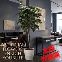 光触媒　人工観葉植物　ウォールグリーン　フェイクグリーン　コーヒーツリー180