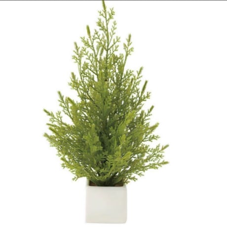 光触媒　人工観葉植物　ウォールグリーン　フェイクグリーン　ミニゴールドクレスト