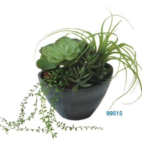 光触媒　人工観葉植物　ウォールグリーン　フェイクグリーン　エケベリアMIX